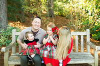 5756-Eastwood-Christmas-mini